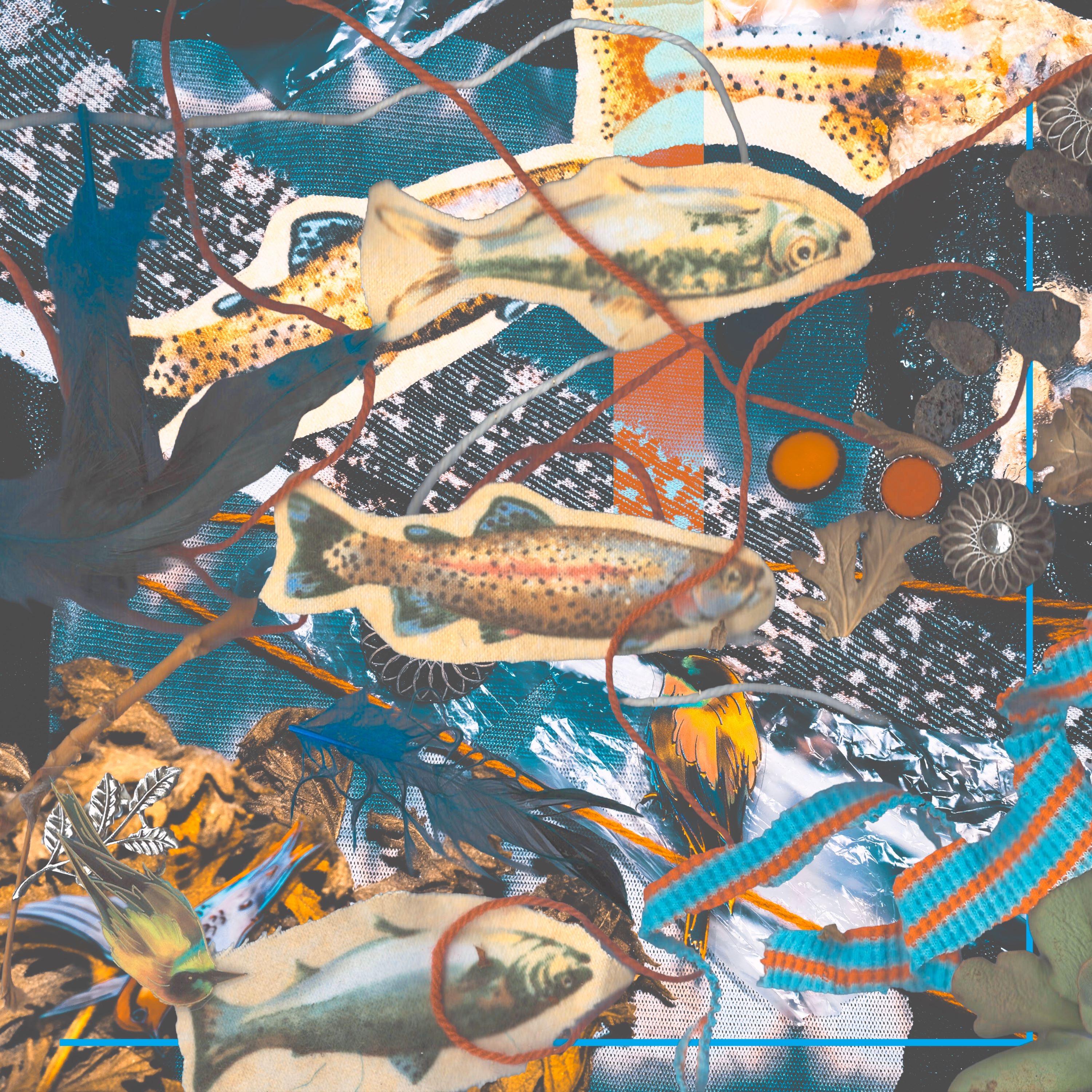 Image Cover